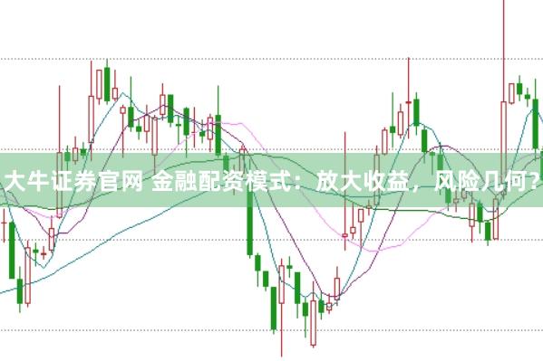 大牛证券官网 金融配资模式：放大收益，风险几何？