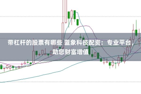 带杠杆的股票有哪些 蓝象科技配资：专业平台，助您财富增值