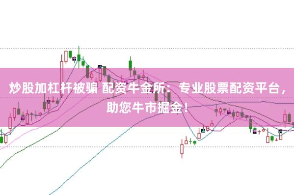 炒股加杠杆被骗 配资牛金所：专业股票配资平台，助您牛市掘金！