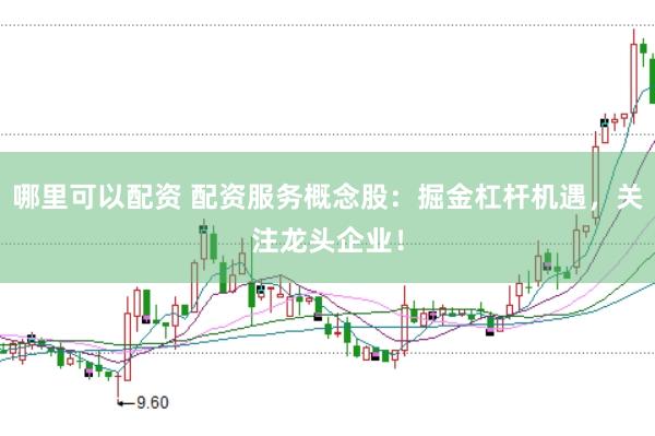 哪里可以配资 配资服务概念股：掘金杠杆机遇，关注龙头企业！