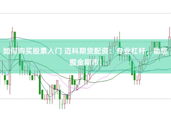 如何购买股票入门 迈科期货配资：专业杠杆，助您掘金期市！