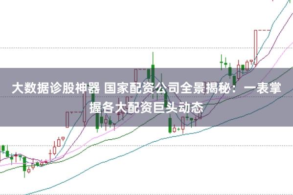 大数据诊股神器 国家配资公司全景揭秘：一表掌握各大配资巨头动态