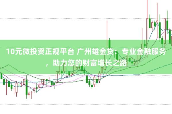 10元微投资正规平台 广州雄金贷：专业金融服务，助力您的财富增长之路