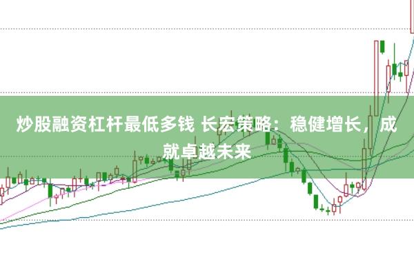 炒股融资杠杆最低多钱 长宏策略：稳健增长，成就卓越未来