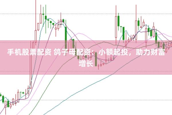 手机股票配资 鸽子母配资：小额起投，助力财富增长