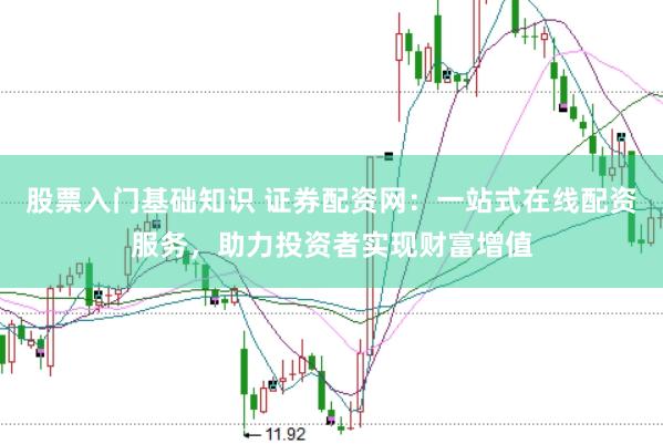 股票入门基础知识 证券配资网：一站式在线配资服务，助力投资者实现财富增值