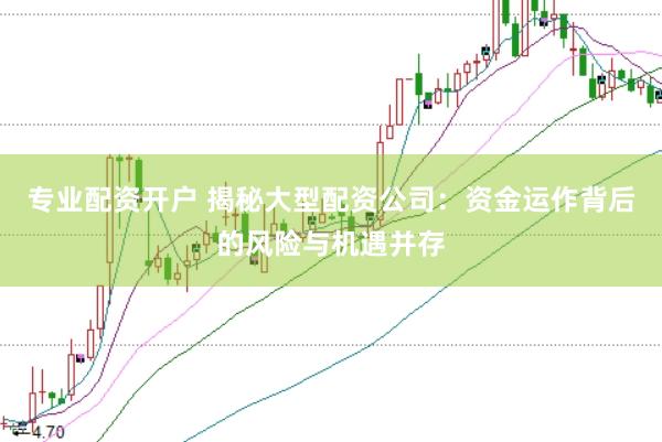 专业配资开户 揭秘大型配资公司：资金运作背后的风险与机遇并存