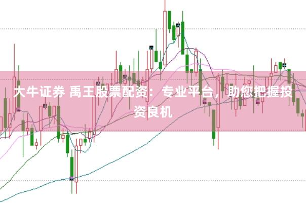 大牛证券 禹王股票配资：专业平台，助您把握投资良机
