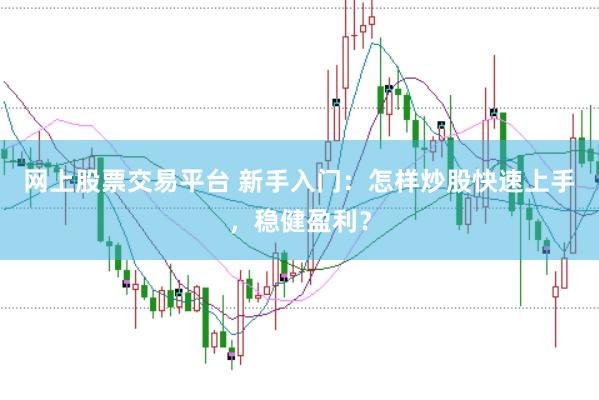 网上股票交易平台 新手入门：怎样炒股快速上手，稳健盈利？