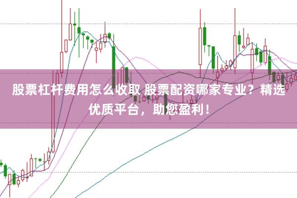 股票杠杆费用怎么收取 股票配资哪家专业？精选优质平台，助您盈利！