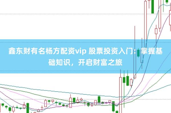 鑫东财有名杨方配资vip 股票投资入门：掌握基础知识，开启财富之旅