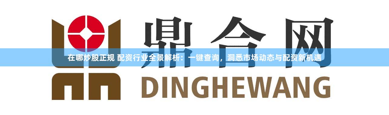 在哪炒股正规 配资行业全景解析：一键查询，洞悉市场动态与配资新机遇