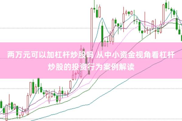 两万元可以加杠杆炒股吗 从中小资金视角看杠杆炒股的投资行为案例解读